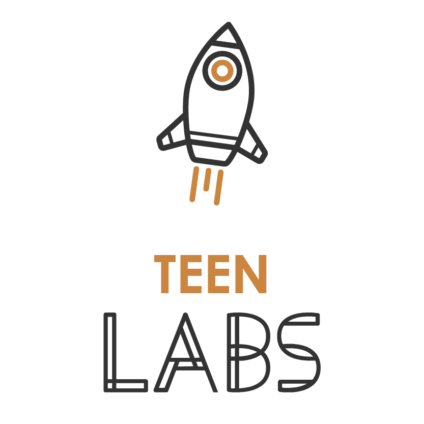 identitate brand logo Teen Labs Bucuresti
