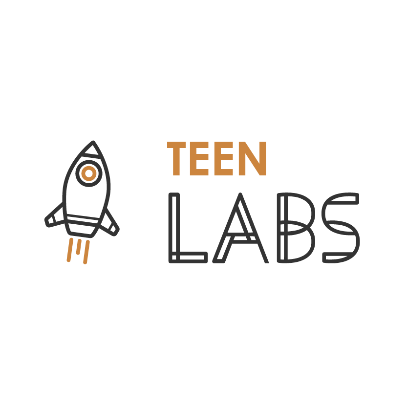 identitate brand logo Teen Labs Bucuresti